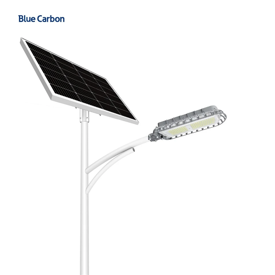 Blue Carbon Factory Direct Outdoor 36W LED Solar Street Light With Solar Panel and Battery suppliers